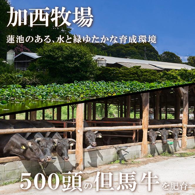 高級缶詰 セット 詰め合わせ 神戸牛カレー 2缶 缶詰 神戸牛 神戸ビーフ カレー 神戸牛ビーフカレー インスタントカレー レトルトカレー 贈り物 ギフト 手土産 防災食 非常食