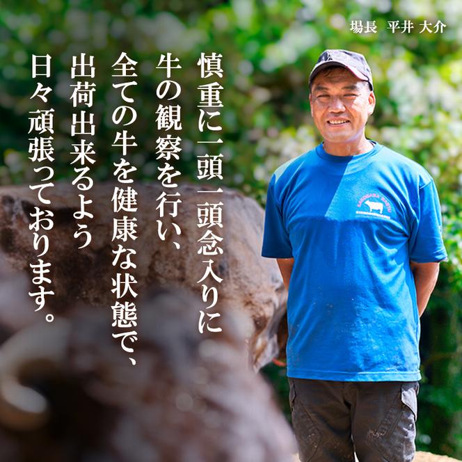 高級缶詰 セット 詰め合わせ 神戸牛カレー 2缶 缶詰 神戸牛 神戸ビーフ カレー 神戸牛ビーフカレー インスタントカレー レトルトカレー 贈り物 ギフト 手土産 防災食 非常食