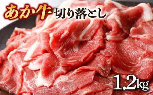 FKK19-16B_サントリー 生ビール トリプル生とあか牛切り落としセット 熊本県 嘉島町 ビール サン生