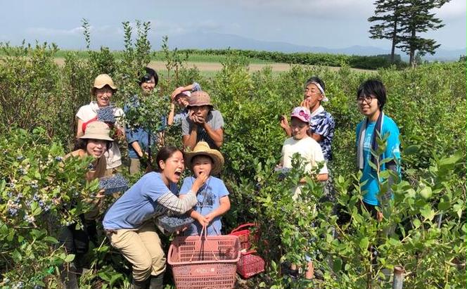 北海道 洞爺湖町産 フレッシュ ブルーベリー 500g 2パック 計1kg 8月1日～25日頃お届け 北海道産 ブルーベリー 果物 果実 フルーツ 新鮮 国産 ベリー 農作物 お取り寄せ 冷凍 長期 保存 送料無料