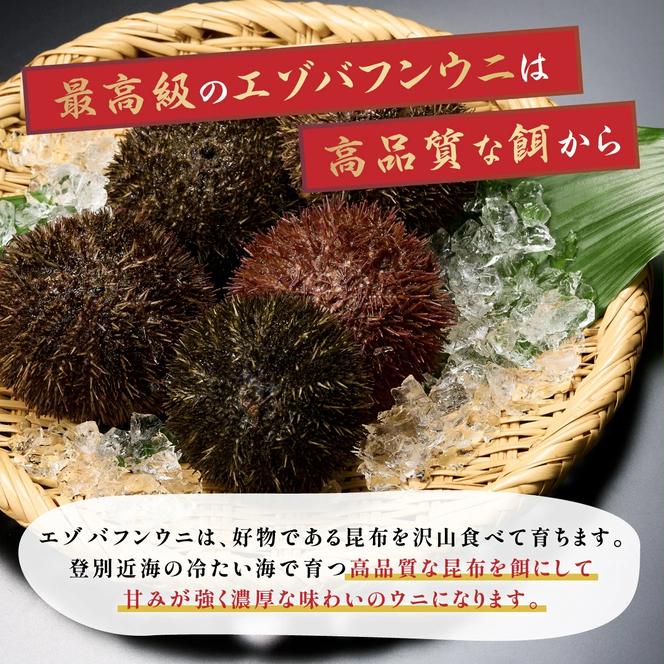 北海道 登別近海産 極上エゾバフンウニ パック詰 100g ※2025年6月よりお届け　