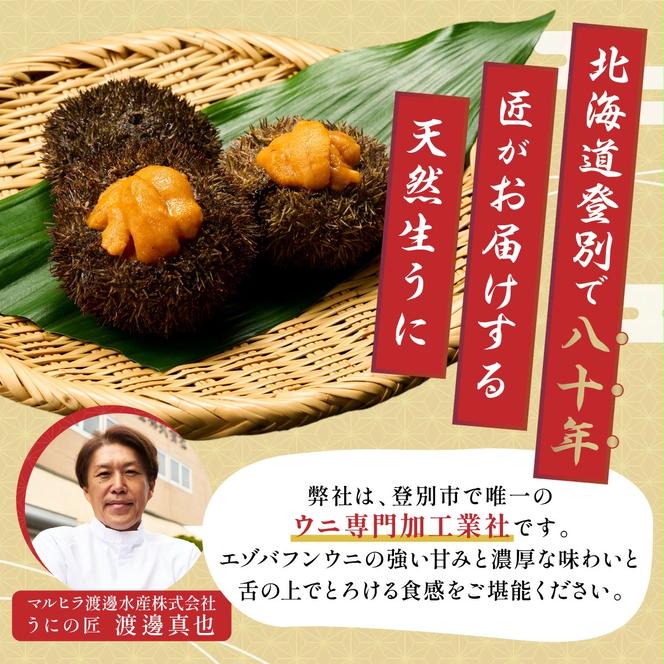 北海道 登別近海産 極上エゾバフンウニ パック詰 100g ※2025年6月よりお届け　