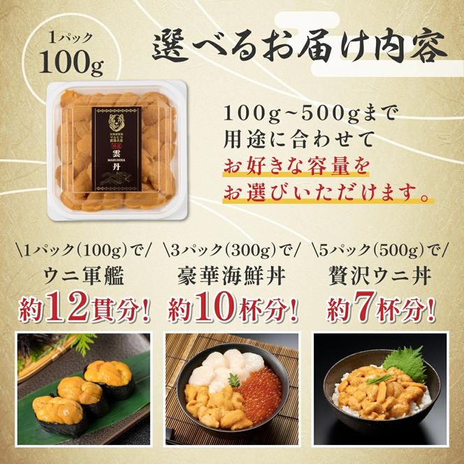 北海道 登別近海産 極上エゾバフンウニ パック詰 100g ※2025年6月よりお届け　