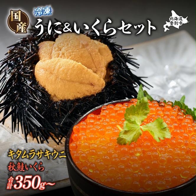 登別近海産 冷凍 キタムラサキウニ 100g 北海道産天然秋鮭 冷凍いくら250g セット【6月以降順次配送】