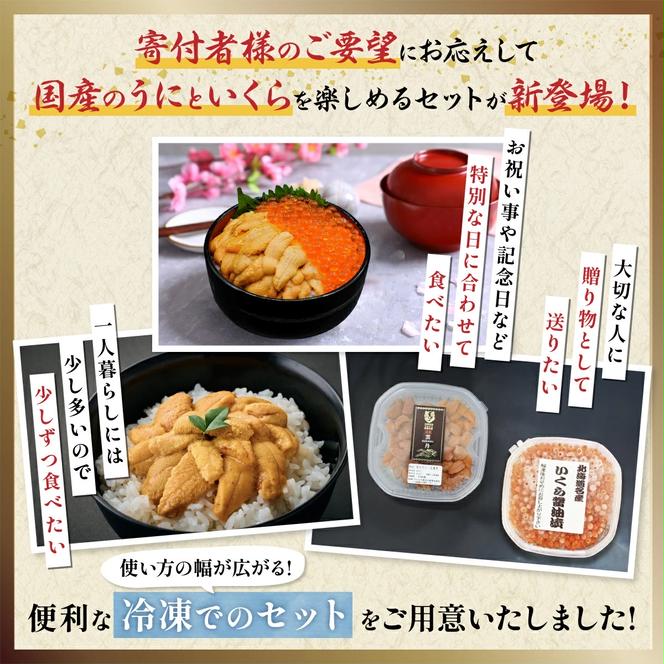 登別近海産 冷凍 キタムラサキウニ 100g 北海道産天然秋鮭 冷凍いくら250g セット【6月以降順次配送】