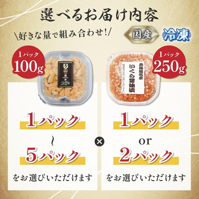 登別近海産 冷凍 キタムラサキウニ 100g 北海道産天然秋鮭 冷凍いくら500g (250g×2) セット【6月以降順次配送】