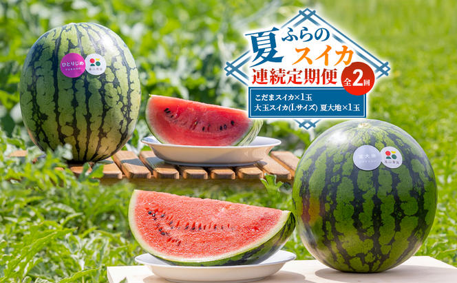 【夏ふらのスイカ連続定期便 全2回】こだまスイカ×1玉 大玉スイカ(Lサイズ) 夏大地×1玉 北海道 富良野産 すいか 西瓜 夏 フルーツ ふらの 甘い 糖度 大玉 ギフト (畠山農園）