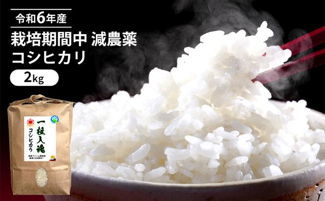 令和6年産 栽培期間中 減農薬 コシヒカリ 2kg