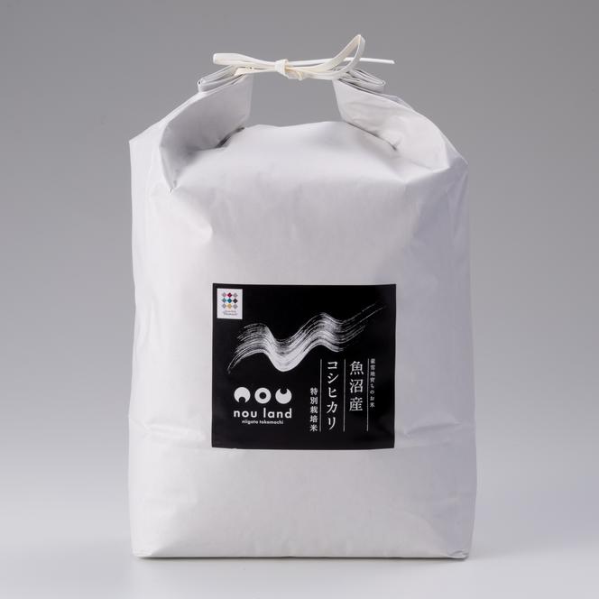 令和６年産 コシヒカリ 特別栽培 精米5kg×2