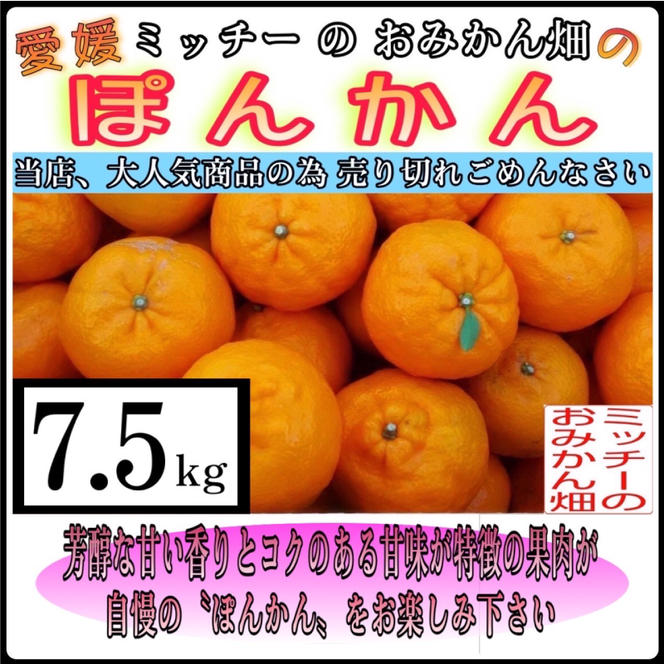 訳あり 家庭用 ぽんかん 7.5kg サイズ混合 10000円 みかん ポンカン ミカン mikan 国産 期間限定 数量限定 特産品 ジュース 人気 限定 愛南  新鮮 果実 さわやか 風味 甘い フルーツ 果物 柑橘 蜜柑 糖度 産地直送 農家直送 サイズミックス 果樹園 ミッチーのおみかん畑 愛南町 愛媛県 