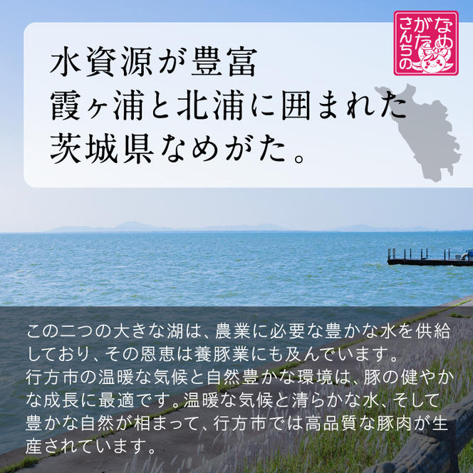 【2025年1月中旬より順次発送】★数量限定★焼売 美明豚「びめいとん」のジューシー焼売 1袋(20個入り)｜シュウマイ 焼売 美明豚 びめいとん 肉 肉加工品 豚肉 お肉 ジューシー 数量限定 先行予約 茨城県 行方市(HJ-4)