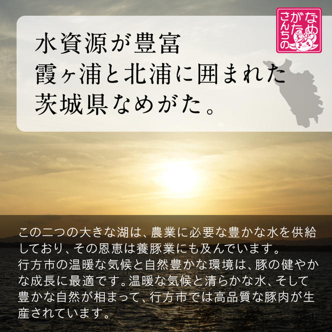 【2025年1月中旬より順次発送】★数量限定★餃子 美明豚「びめいとん」のジューシー餃子 1袋(30個入り)｜餃子 ぎょうざ ギョウザ 美明豚 数量限定 びめいとん 肉 肉加工品 豚肉 お肉 ジューシー 先行予約 茨城県 行方市(HJ-5)