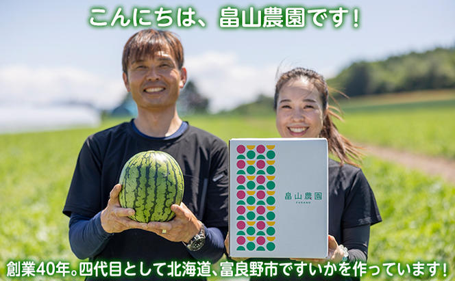 【2025年夏配送】黒こだまスイカ＋ふらのメロン1.6kg以上 セット 北海道 富良野産 すいか 西瓜 メロン 夏 フルーツ ふらの 甘い 糖度 ギフト (畠山農園）