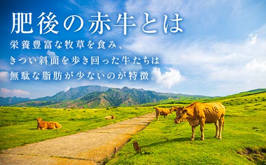 FKK19-997_あか牛入りハンバーグ100g×12個 牛 ハンバーグ 牛肉 ビーフ 肉 食品