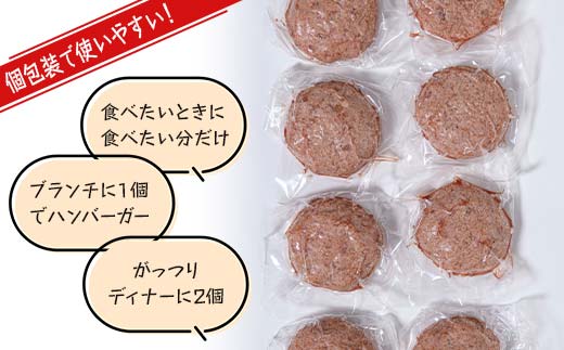 FKK19-997_あか牛入りハンバーグ100g×12個 牛 ハンバーグ 牛肉 ビーフ 肉 食品