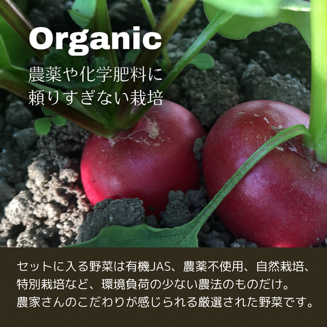 Nantan Sustainable Selection 野菜セット