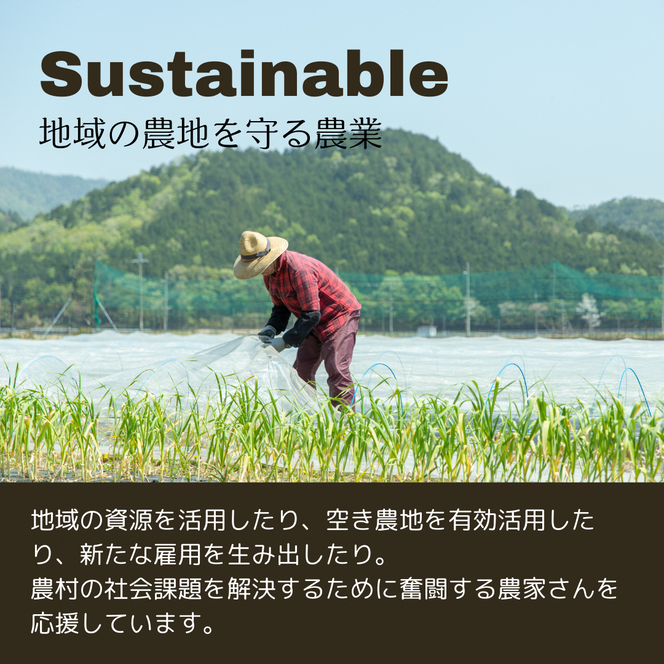 Nantan Sustainable Selection 野菜セット