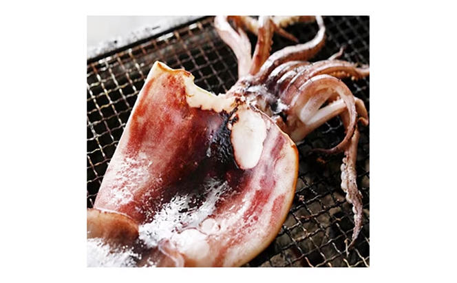 【毎月_定期便 全6回】日本海産柔らか肉厚のスルメイカ一夜干し(大)3枚　 魚貝類 イカ いか スルメイカ お酒 つまみ 特大 新鮮 保存 冷凍 国産 酒の肴 酒のつまみ