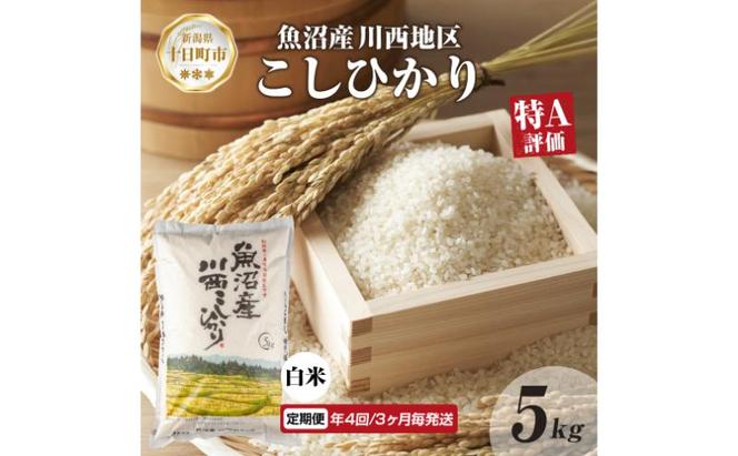 定期便 年4回3ヵ月毎 魚沼産 川西 こしひかり 5kg 精米 米 コメ お米 ごはん ご飯 白米 炊き立て ブランド米 コシヒカリ 魚沼 人気 国産 産地直送 お取り寄せ 送料無料 新潟県 十日町