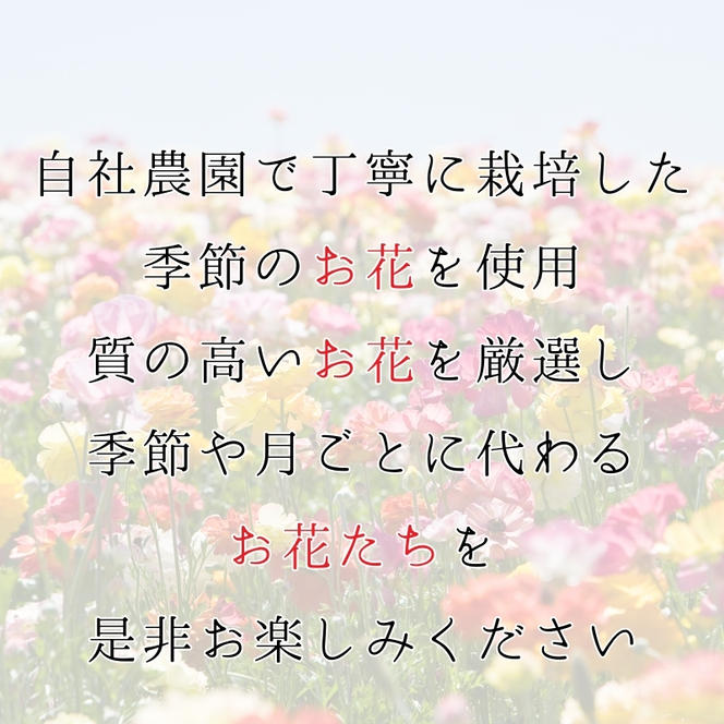 季節のお花で作る生花 そのままドライになるブーケVer　季節のお楽しみ生花のブーケ　Lサイズ