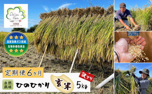 【定期便6ヶ月】自然栽培　ひのひかり（玄米）　5kg 《無選別品のため訳アリ》