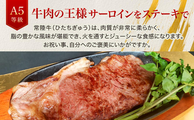 【茨城県共通返礼品】茨城県産 常陸牛A5等級 サーロインステーキ 500g(250g×2枚) あらぎりわさび付