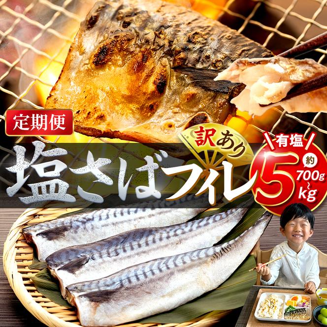 【定期便 毎月3回】 塩サバフィレ 計:9kg ※1回あたり3kg 冷凍 鯖 塩 さば 魚 さかな 海鮮 海産物 おかず サバ 鯖ご飯 おすすめ 人気 さば サバ 鯖 魚 魚介 海鮮 惣菜 塩サバ 塩鯖 焼き鯖 サバ 焼きさば 焼さば 減塩 塩 鯖 さば サバ おすすめ 人気 ふるさと納税 鯖 サバ さば ふるさと納税さば 南知多 さば 鯖 定期便 人気 おすすめ 愛知県 南知多町