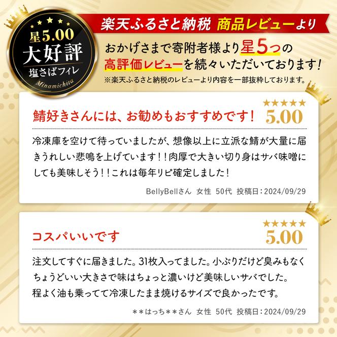 【定期便 毎月3回】 塩サバフィレ 計:9kg ※1回あたり3kg 冷凍 鯖 塩 さば 魚 さかな 海鮮 海産物 おかず サバ 鯖ご飯 おすすめ 人気 さば サバ 鯖 魚 魚介 海鮮 惣菜 塩サバ 塩鯖 焼き鯖 サバ 焼きさば 焼さば 減塩 塩 鯖 さば サバ おすすめ 人気 ふるさと納税 鯖 サバ さば ふるさと納税さば 南知多 さば 鯖 定期便 人気 おすすめ 愛知県 南知多町