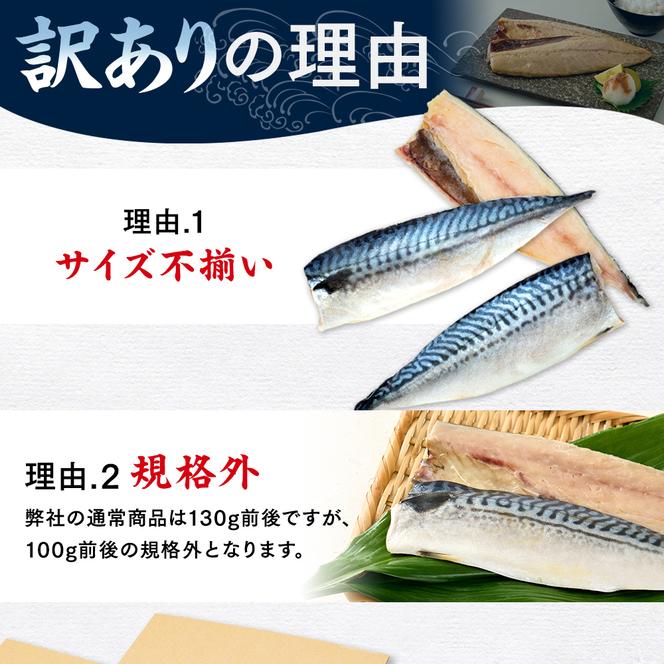 【定期便 毎月3回】 塩サバフィレ 計:9kg ※1回あたり3kg 冷凍 鯖 塩 さば 魚 さかな 海鮮 海産物 おかず サバ 鯖ご飯 おすすめ 人気 さば サバ 鯖 魚 魚介 海鮮 惣菜 塩サバ 塩鯖 焼き鯖 サバ 焼きさば 焼さば 減塩 塩 鯖 さば サバ おすすめ 人気 ふるさと納税 鯖 サバ さば ふるさと納税さば 南知多 さば 鯖 定期便 人気 おすすめ 愛知県 南知多町