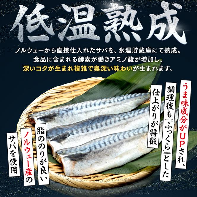 【定期便 毎月3回】 塩サバフィレ 計:9kg ※1回あたり3kg 冷凍 鯖 塩 さば 魚 さかな 海鮮 海産物 おかず サバ 鯖ご飯 おすすめ 人気 さば サバ 鯖 魚 魚介 海鮮 惣菜 塩サバ 塩鯖 焼き鯖 サバ 焼きさば 焼さば 減塩 塩 鯖 さば サバ おすすめ 人気 ふるさと納税 鯖 サバ さば ふるさと納税さば 南知多 さば 鯖 定期便 人気 おすすめ 愛知県 南知多町