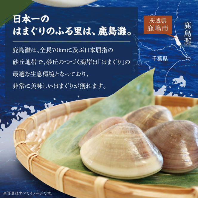 日本一の生産地　茨城県鹿島灘産はまぐり 18粒以上【ハマグリ 蛤 海鮮 魚貝 冷蔵 縁起物 酒蒸し お吸い物 鹿島灘 茨城県 鹿嶋市 35000円以内】（KM-16）