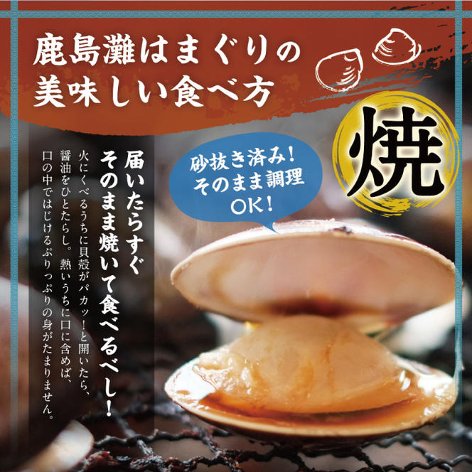 日本一の生産地　茨城県鹿島灘産はまぐり 18粒以上【ハマグリ 蛤 海鮮 魚貝 冷蔵 縁起物 酒蒸し お吸い物 鹿島灘 茨城県 鹿嶋市 35000円以内】（KM-16）