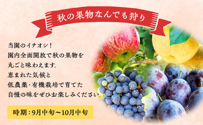 妹尾観光農園 フルーツ狩りチケット2000円 割引 チケット クーポン 利用券 フルーツ 旅行 体験 農園 北海道 仁木町 [フルーツショップ妹尾観光農園]