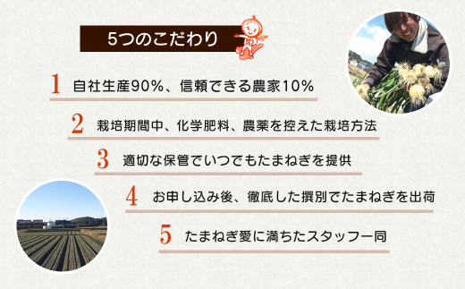 【定期便12ヶ月】淡路島たまねぎ 歩-AYUMU- 10kg　　[玉ねぎ 玉葱 タマネギ 玉ねぎ 淡路島産 玉ねぎ 玉ねぎ 玉ねぎ 玉ねぎ]