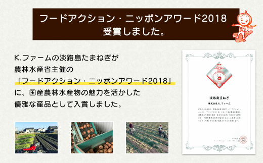 【定期便12ヶ月】淡路島たまねぎ 歩-AYUMU- 10kg　　[玉ねぎ 玉葱 タマネギ 玉ねぎ 淡路島産 玉ねぎ 玉ねぎ 玉ねぎ 玉ねぎ]