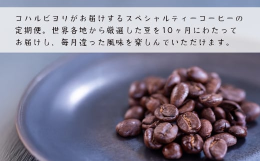 【定期便10ヶ月】スペシャルティーコーヒー定期便（豆２００g×２種×１０回）合計４kg