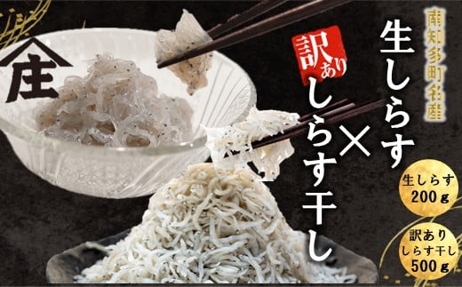 【選べるセット】 生しらす 200g 400g 訳ありしらす干し 500g 1kg セット 冷凍 刺身 真空パック しらす干し 炒飯 パスタ ごはん 丼 サラダ 魚 料理 愛知県 南知多町 師崎 シラス しらす 小魚 魚貝 魚貝類 しらす シラス 海鮮 しらす丼 シラス丼 ふるさと納税しらすしらす おすすめ 大人気 南知多産しらす愛知県産しらす