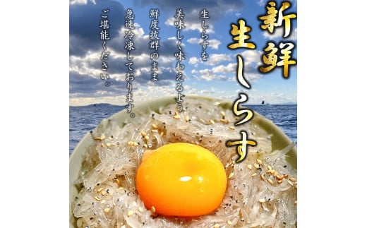 【選べるセット】 生しらす 200g 400g 訳ありしらす干し 500g 1kg セット 冷凍 刺身 真空パック しらす干し 炒飯 パスタ ごはん 丼 サラダ 魚 料理 愛知県 南知多町 師崎 シラス しらす 小魚 魚貝 魚貝類 しらす シラス 海鮮 しらす丼 シラス丼 ふるさと納税しらすしらす おすすめ 大人気 南知多産しらす愛知県産しらす