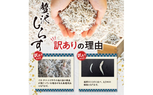 【選べるセット】 生しらす 200g 400g 訳ありしらす干し 500g 1kg セット 冷凍 刺身 真空パック しらす干し 炒飯 パスタ ごはん 丼 サラダ 魚 料理 愛知県 南知多町 師崎 シラス しらす 小魚 魚貝 魚貝類 しらす シラス 海鮮 しらす丼 シラス丼 ふるさと納税しらすしらす おすすめ 大人気 南知多産しらす愛知県産しらす