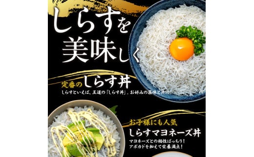 【選べるセット】 生しらす 200g 400g 訳ありしらす干し 500g 1kg セット 冷凍 刺身 真空パック しらす干し 炒飯 パスタ ごはん 丼 サラダ 魚 料理 愛知県 南知多町 師崎 シラス しらす 小魚 魚貝 魚貝類 しらす シラス 海鮮 しらす丼 シラス丼 ふるさと納税しらすしらす おすすめ 大人気 南知多産しらす愛知県産しらす