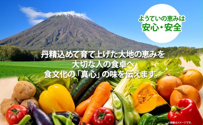 【 2025年発送 】先行予約 北海道 赤肉メロン 大玉 約2kg 1玉 メロン 赤肉 果物 フルーツ 甘い 完熟 スイーツ デザート 産直 国産 贈答品 お祝いギフト羊蹄山 JAようてい