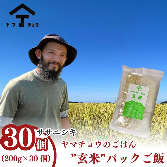 ヤマチョウのごはん パックご飯 玄米 ササニシキ 200g×30個セット 秋田県産