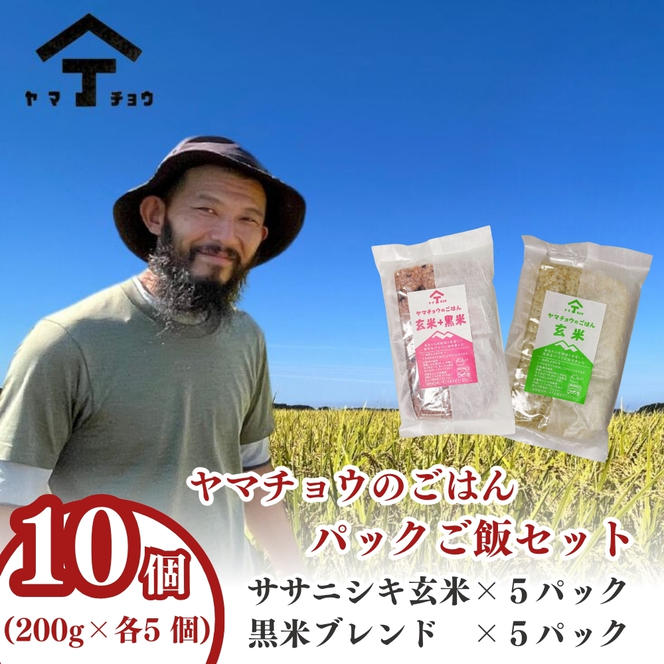 ヤマチョウのごはん パックご飯 玄米ササニシキ ＆ 玄米黒米ブレンド 200g×各5個 合計10個セット 秋田県産