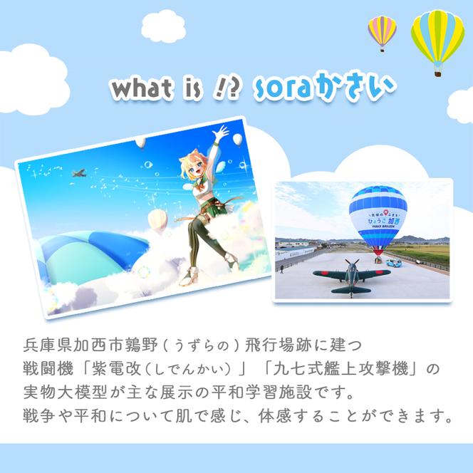 鶉野ひな sora推し！痛車エントリー 推し活 推し活グッズ Vtuber IP キャラクター 声優 ご当地 オフ会 うずひな