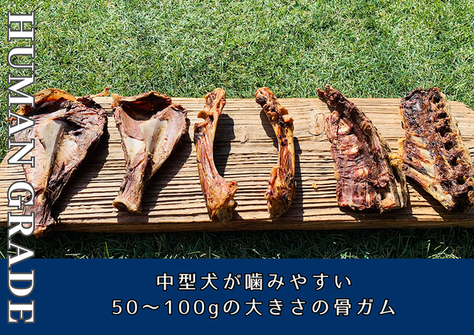 FB175_中型犬向け☆天然いのししの骨ガム4本（300～400g）