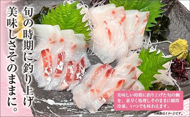 【瀬戸内海産！新鮮ハマチ＆真鯛刺身セット】贅沢5パック（ハマチ×3・真鯛×2）新鮮 刺身 食べ比べ 魚 一本釣り 海産物 海の幸 魚介 魚介類 真鯛 ハマチ 冷凍 冷凍配送 香川県 香川 丸亀