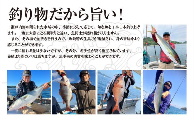 【瀬戸内海産！新鮮ハマチ＆真鯛刺身セット】贅沢5パック（ハマチ×3・真鯛×2）新鮮 刺身 食べ比べ 魚 一本釣り 海産物 海の幸 魚介 魚介類 真鯛 ハマチ 冷凍 冷凍配送 香川県 香川 丸亀