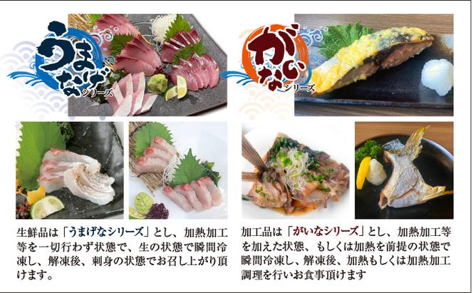 【瀬戸内海産！新鮮ハマチ＆真鯛刺身セット】贅沢5パック（ハマチ×3・真鯛×2）新鮮 刺身 食べ比べ 魚 一本釣り 海産物 海の幸 魚介 魚介類 真鯛 ハマチ 冷凍 冷凍配送 香川県 香川 丸亀