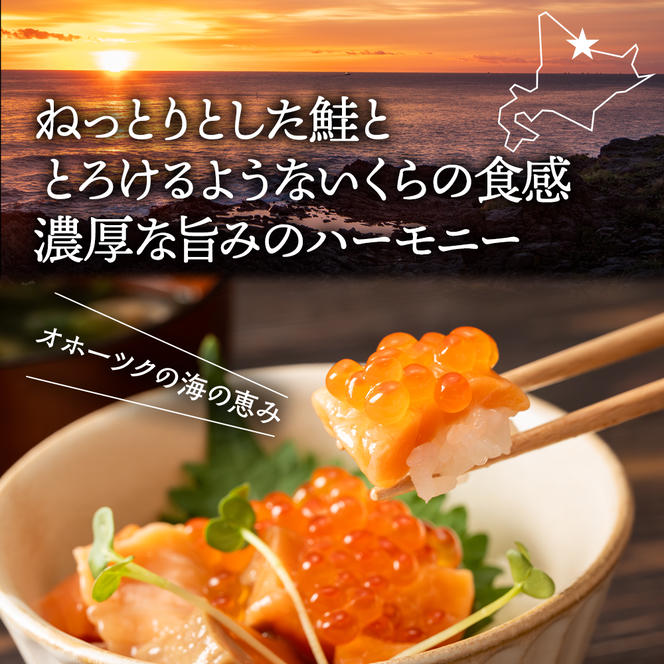11-149 北海道産鮭親子漬けプレミアム2個セット～いくら増量しました～