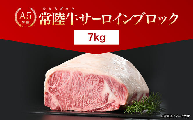 【茨城県共通返礼品】茨城県産 常陸牛A5サーロインブロック7kg